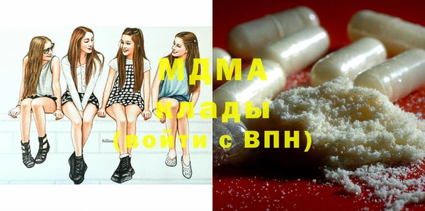 spice Богородицк